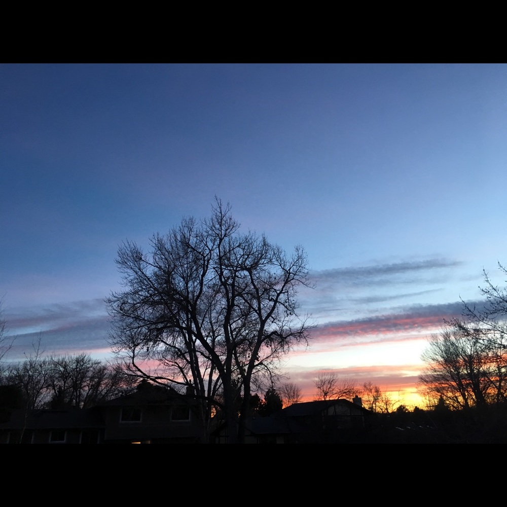 Meet your Posher, Sydney